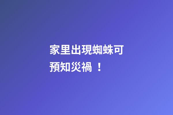家里出現蜘蛛可預知災禍！